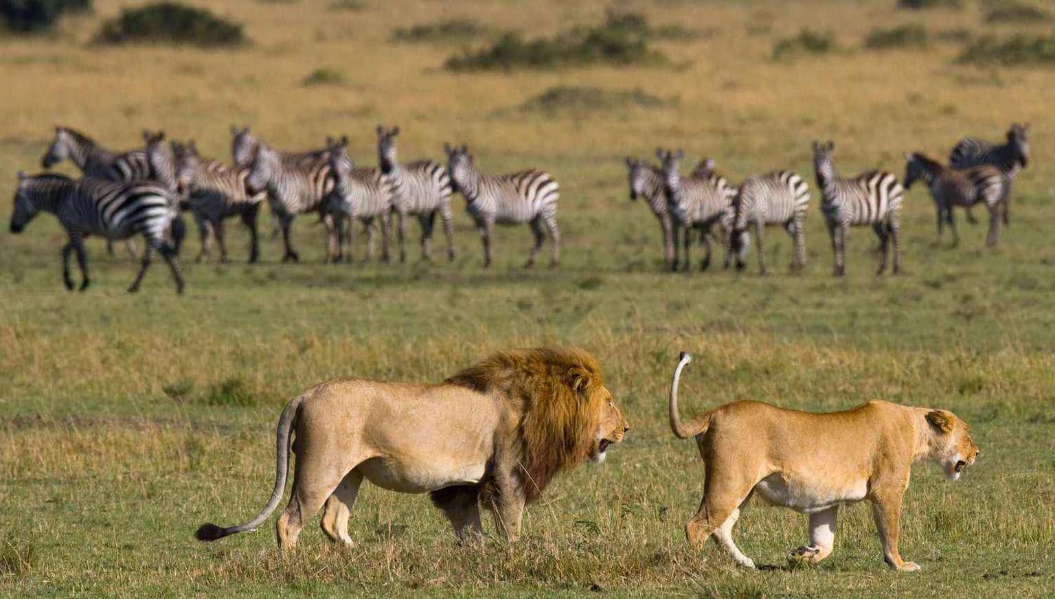 3 Days - Lake Manyara, Ngorongoro Crater